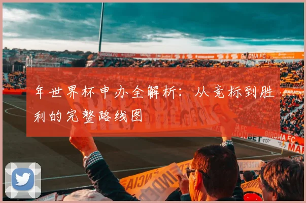 年世界杯申办全解析：从竞标到胜利的完整路线图
