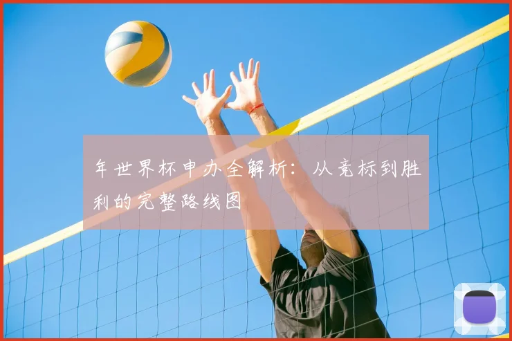 年世界杯申办全解析:从竞标到胜利的完整路线图