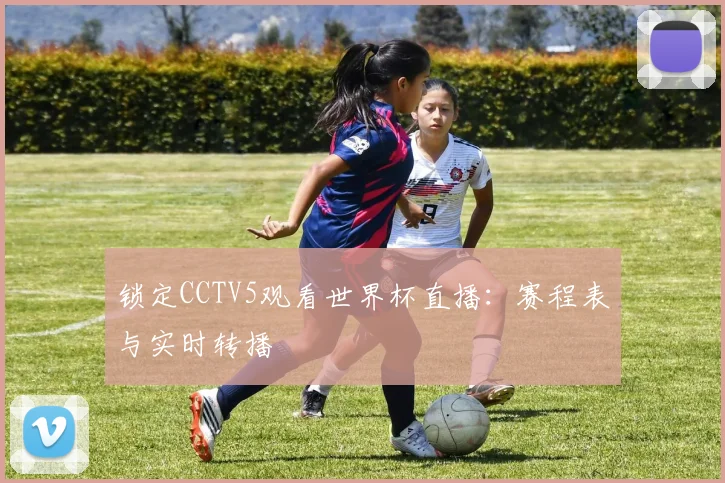 锁定CCTV5观看世界杯直播：赛程表与实时转播