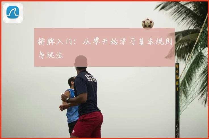 桥牌入门：从零开始学习基本规则与玩法